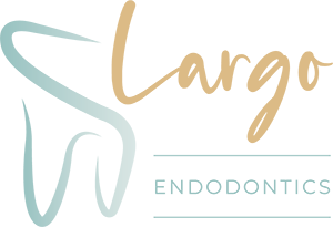 Link to Ernest A. Rillman, DMD - Largo Endodontics home page